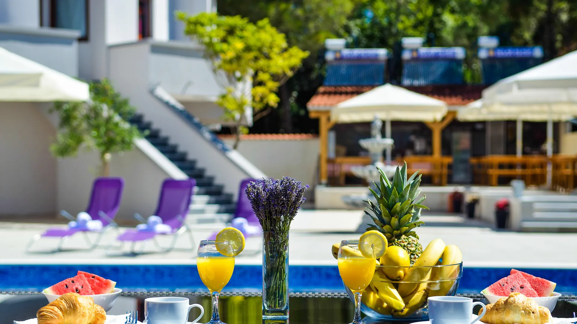 Aparthotel Plat Kožino